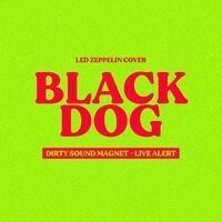 Black Dog (Live Alert - Dirty Sound Magnet Cover)
