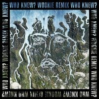 Who Knew? (Wookie Remix)