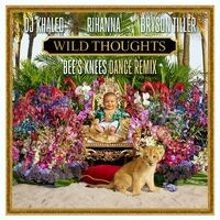 Wild Thoughts (Bee's Knees Dance Remix)
