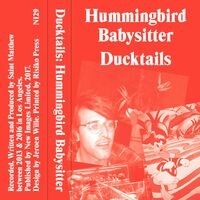 Hummingbird Babysitter