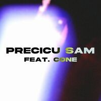 Precicu sam (feat. Cone)