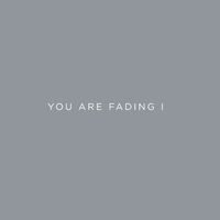 You Are Fading, Vol. 1 (Bonus Tracks 2005 - 2010)