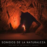 Sonidos De La Naturaleza: Sonidos De Antorchas Y Cuevas