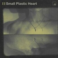 Small Plastic Heart
