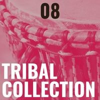 Tribal Collection Vol.8 (Compilation)