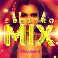 Electro Mix, Vol. 1 (A Selection of Different Styles of Indie Electronic Music)