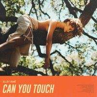 Can You Touch
