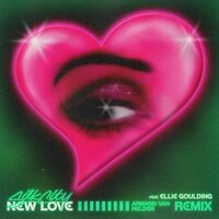 New Love (feat. Diplo & Mark Ronson) (Armand Van Helden Remix)