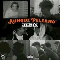 Aunque Peleamo' (remix)