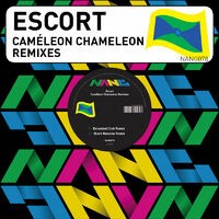 Caméleon Chameleon