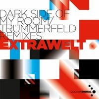 Dark Side of My Room / Trümmerfeld Remixes