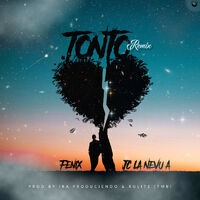 Tonto (Remix)