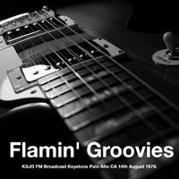 Flamin' Groovies - KSJO FM Broadcast Keystone Palo Alto CA 14th August 1979.