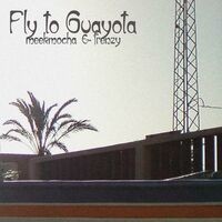Fly to Guayota