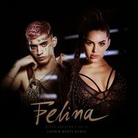 Felina (Chopin Beats Remix)