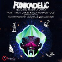 Ain't That Funkin' Kinda Hard on You? (Remixes)