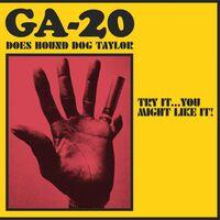 Try It...You Might Like It: GA-20 Does Hound Dog Taylor