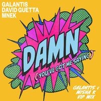 Damn (You’ve Got Me Saying) (Galantis & Misha K VIP Mix)