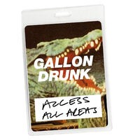 Access All Areas - Gallon Drunk (Audio Version)