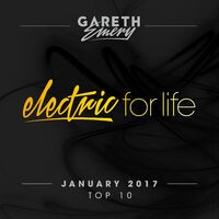 Electric For Life Top 10 - January 2017