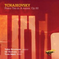 Tchaikovsky, P.I.: Piano Trio in A minor