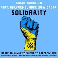 Solidarity (feat. Bernard Sumner (New Order)) [Bernard Sumner’s “Right To Freedom” Mix]