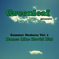 Summer Madness, Vol. 1 (Dance Like David Did 2012)