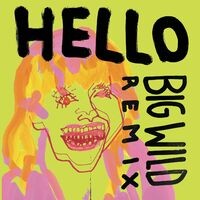 Hello (Big Wild Remix)