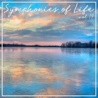 Symphonies of Life, Vol. 19 - The Symphonies No 4 Vol. 2