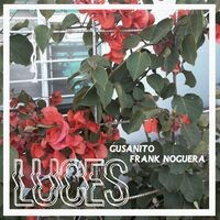 Luces (feat. Frank Noguera)