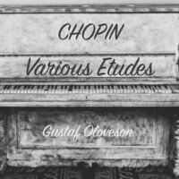 Frédéric Chopin: Various Etudes