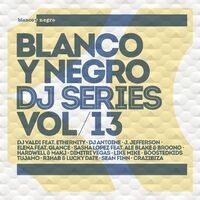 Blanco y Negro DJ Series, Vol. 13