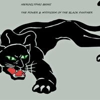 The Power & Mysticism of the Black Panther