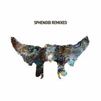 Sphenoid Remixed