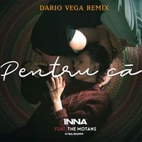 Pentru Ca (Dario Vega Remix)