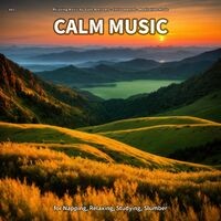 #01 Calm Music for Napping, Relaxing, Studying, Slumber