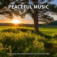 #01 Peaceful Music for Sleeping, Stress Relief, Relaxation, to Release Blockages