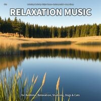 #01 Relaxation Music for Bedtime, Relaxation, Studying, Dogs & Cats