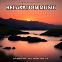 #01 Relaxation Music for Napping, Stress Relief, Relaxing, Dogs & Cats