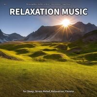 #01 Relaxation Music for Sleep, Stress Relief, Relaxation, Fitness