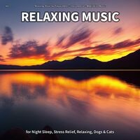#01 Relaxing Music for Night Sleep, Stress Relief, Relaxing, Dogs & Cats