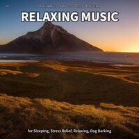 #01 Relaxing Music for Sleeping, Stress Relief, Relaxing, Dog Barking