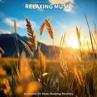 #01 Relaxing Music to Unwind, for Sleep, Studying, Recovery
