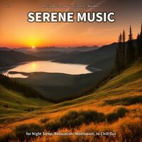 #01 Serene Music for Night Sleep, Relaxation, Meditation, to Chill Out