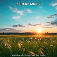 #01 Serene Music to Calm Down, for Bedtime, Yoga, Close Reading