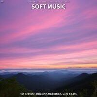 #01 Soft Music for Bedtime, Relaxing, Meditation, Dogs & Cats