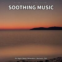 #01 Soothing Music for Night Sleep, Relaxation, Wellness, Zen