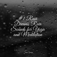 #1 Rain Dreams Rain Sounds for Yoga and Meditation