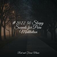 #2022 50 Sleepy Sounds for Pure Meditation