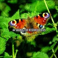 44 Sounds For Research Focus